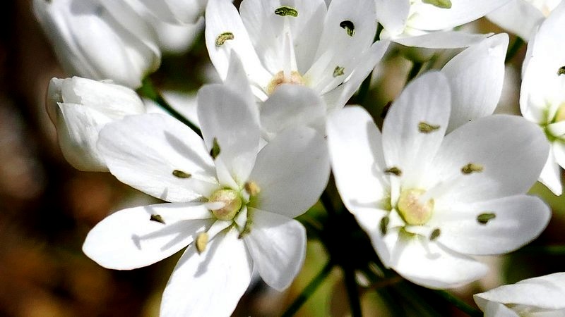 210406030308434494_ail_b