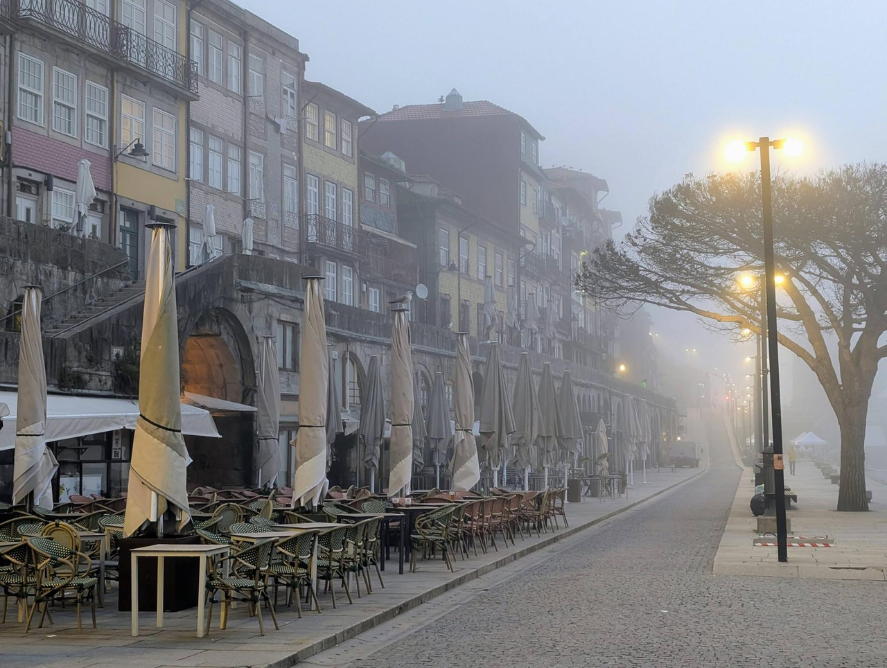 644103534 25574918748874421 5919453424962959952 n