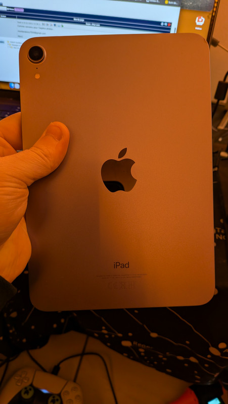 PXL 20260205 104504738