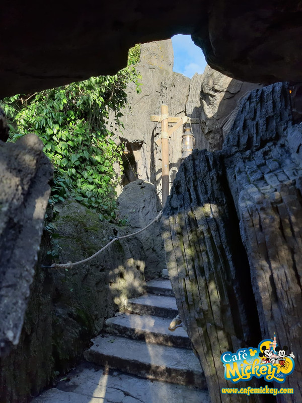 WhatsApp Image 2020-02-12 at 10.13.37 (1)