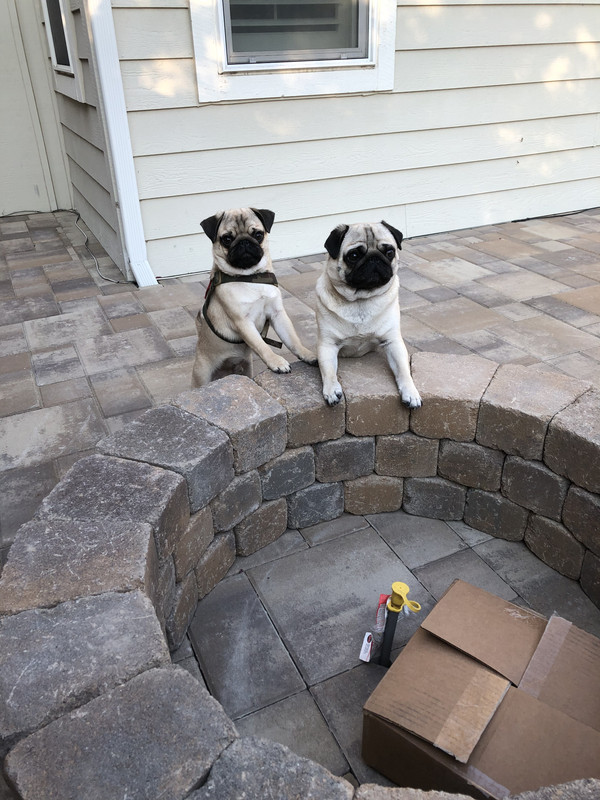 C7690D7E-A839-4CDC-8492-1EB1B0F2D89C