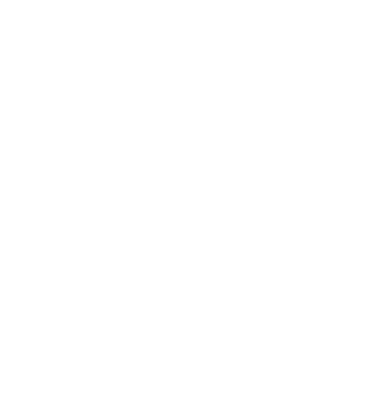 Christmasswishoffairydnlights