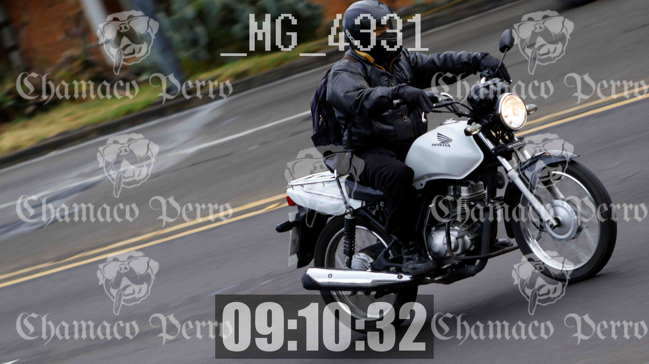 MUESTRA MG 4331 — Postimages