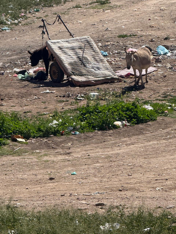 Whats-App-Image-2026-02-27-at-22-45-26-(1)