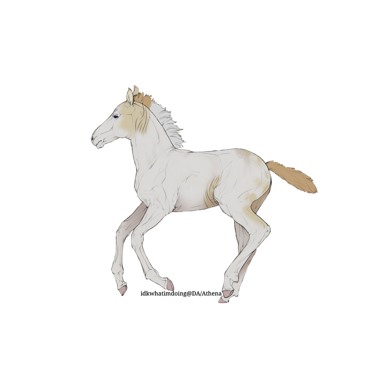 Untitled88-20250429182722.png