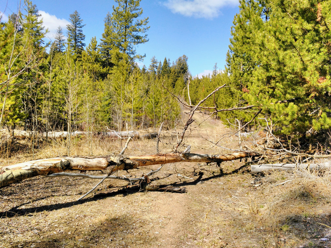 Easter 2019 Granite (9)