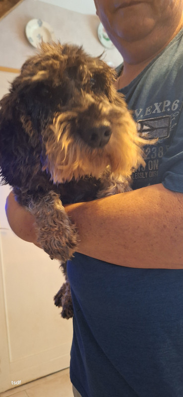 [Image: 20250910-161129.jpg]