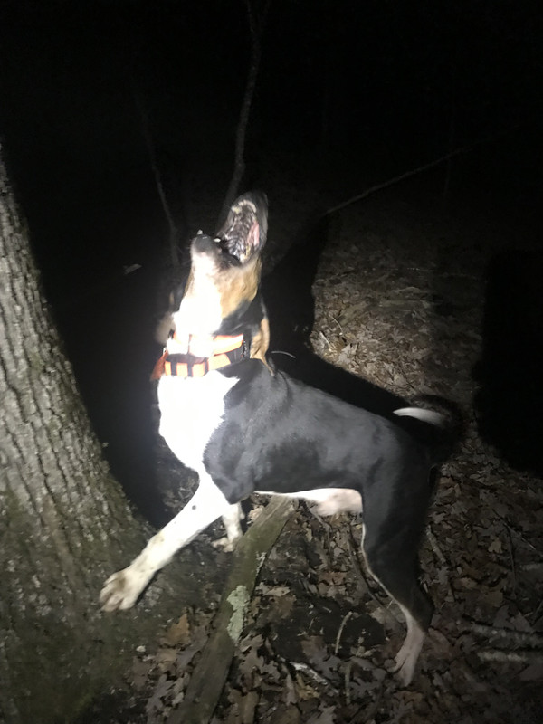 5BD9E2F6-374D-4AD4-A035-D977A678C841