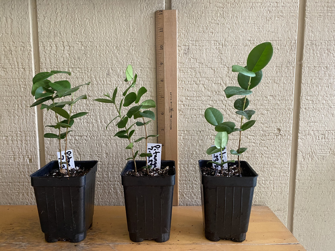 4007C43B-729D-4AC0-840E-F1252C6F7184