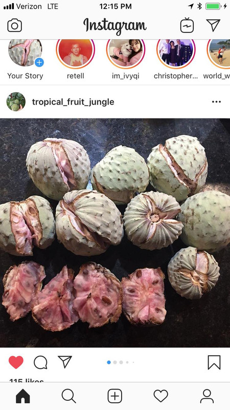 AFCE66B0-5C94-45A0-AC9C-21DEB0FC58B6