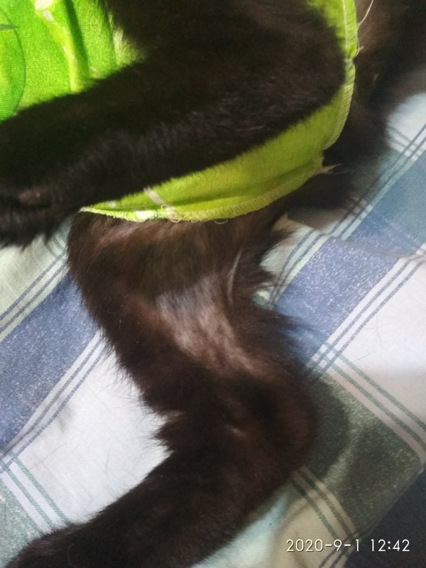 F7157257-6754-491C-A3EB-F4100B49BCCF