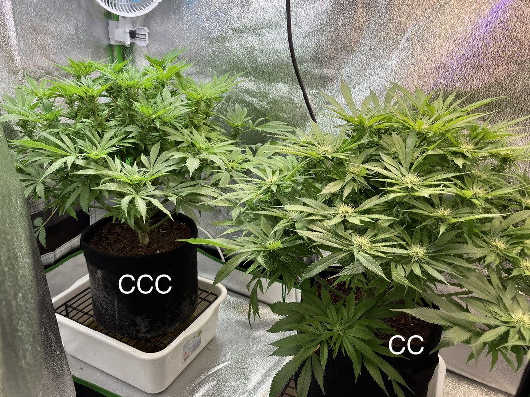 D03EBF8E-231D-489A-9626-2D6F3B4D3BBF