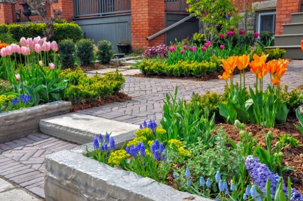 garden care tampa