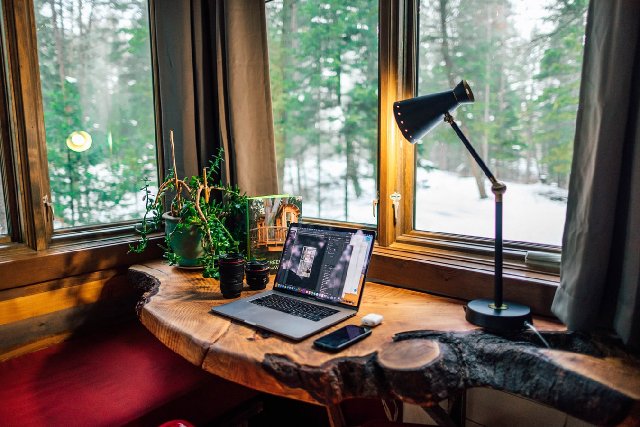 photo of plant next to work desk