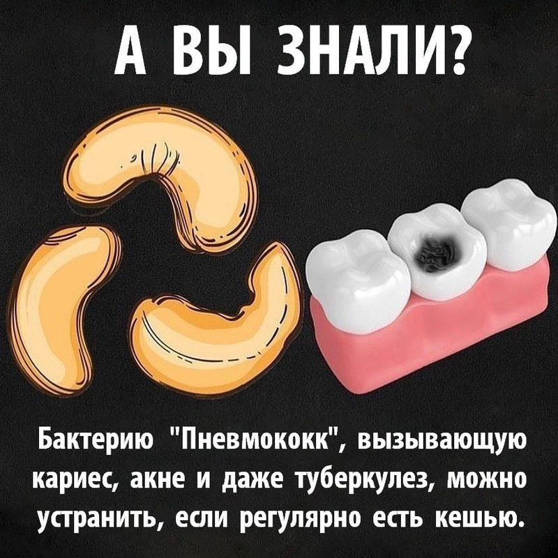 [Изображение: photo-2026-06-08-09-35-58.jpg]
