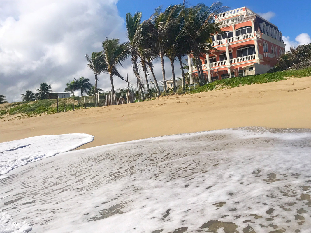 503BE36C-FA35-4A9D-8F4B-966B3AB841C1