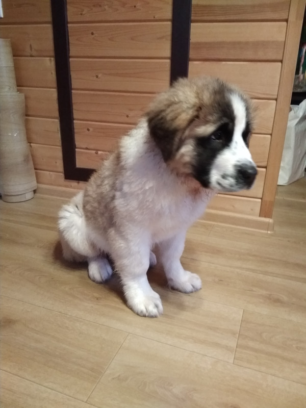 Грустняшка