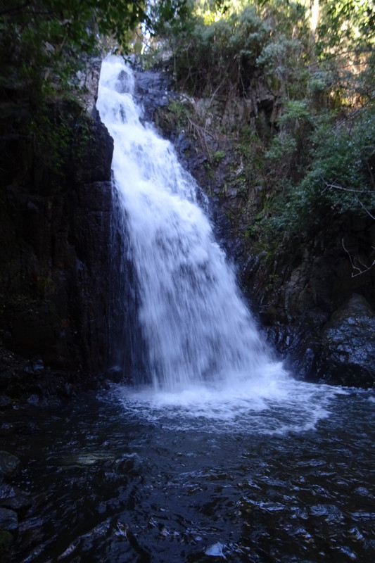 DSC02733