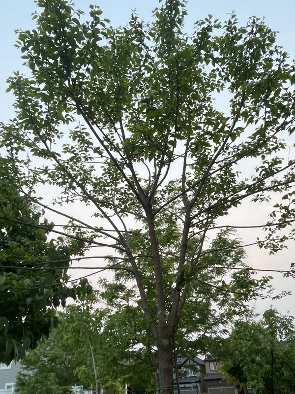 A03519B9-D82E-420C-AD8E-1832D54F289F