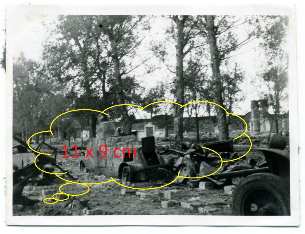 Polen abgeschossener polnischer Schützenpanzer V