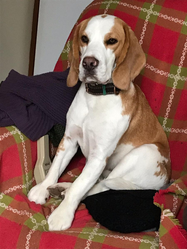 [Image: IMG-5050.jpg]