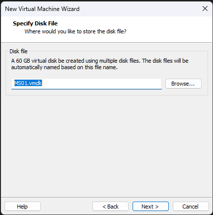Disk name