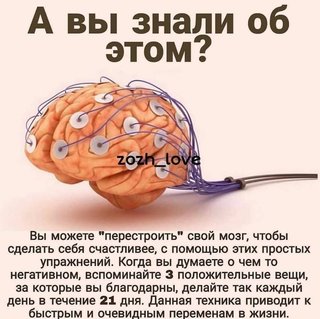 https://i.postimg.cc/QCxjmM0G/0b4a9584dbe2d6e0d2acad50de2fb387.jpg