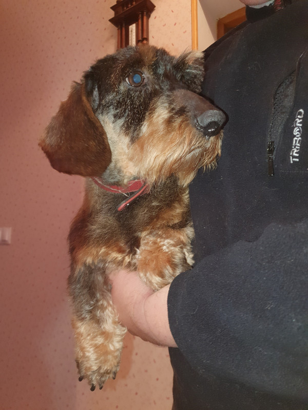 [Image: 20220114-185959.jpg]