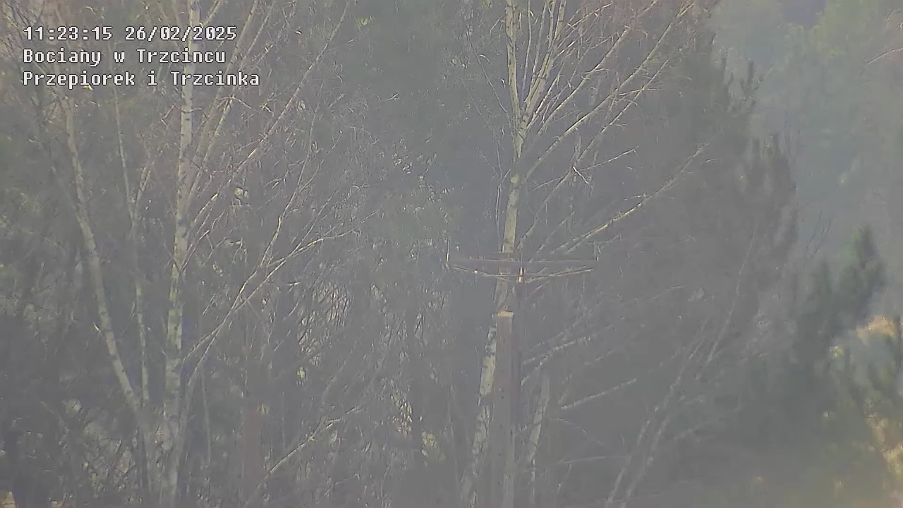 26022025nowaplatforma