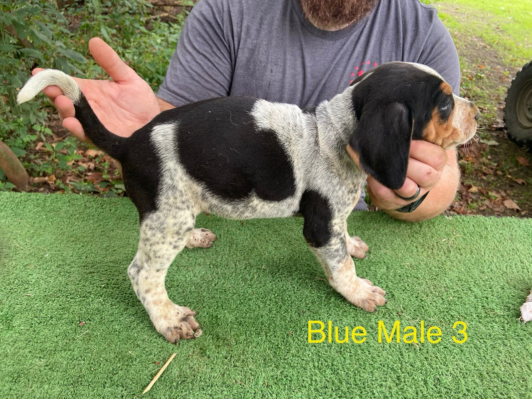 F3EFDB4B-C0EC-43B1-B4D6-CDF8511C4BC7