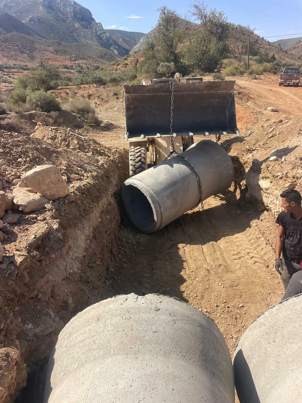 610174025-1313324543892021-1823552868458879289-n-(1)