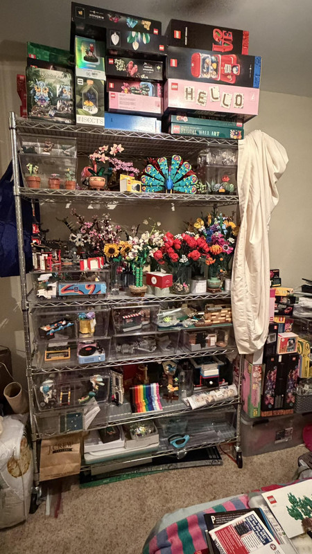 637214023 10235391543621746 6964669865382896006 n