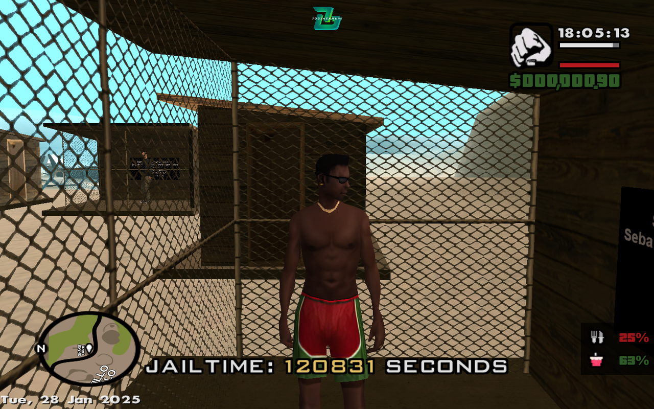 samp-28-01-2025-18-05-13.png