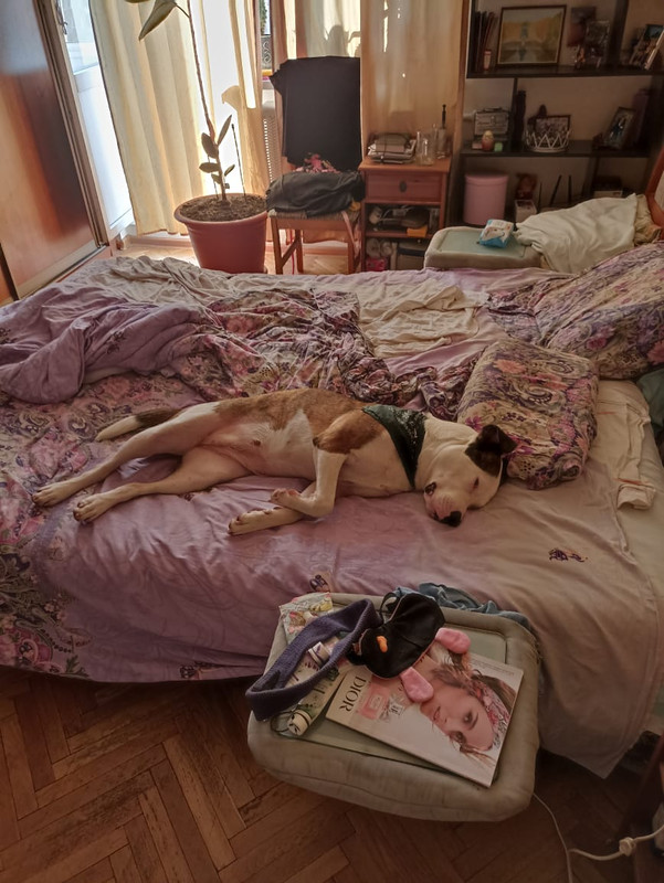 885CD2C5-B1AD-4A8F-9C23-A893BFF70479