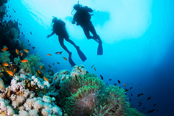 Dive Courses on Koh Tao