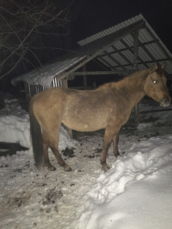 698597A9-F07F-4392-A722-71FB6E364B7A