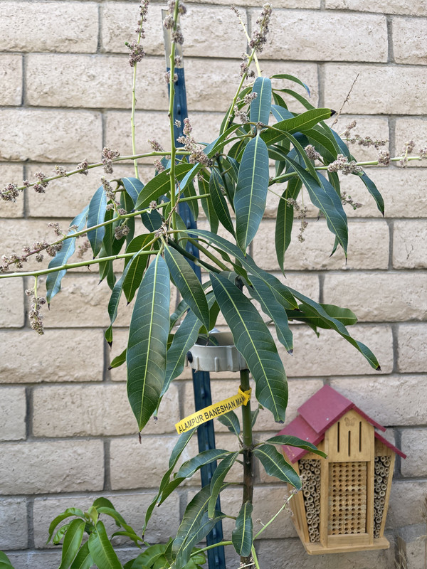 241698E3-61DA-4DAD-BE3C-FAF0B5EE73AD