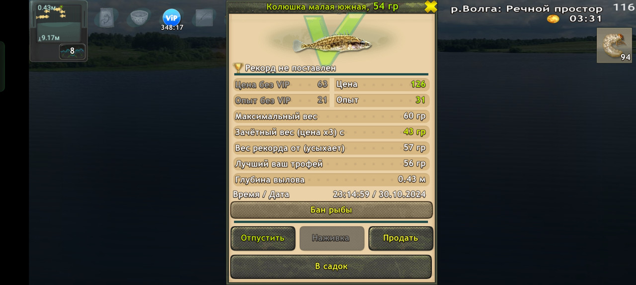 Screenshot-2024-10-30-23-15-03-74-fa28ee