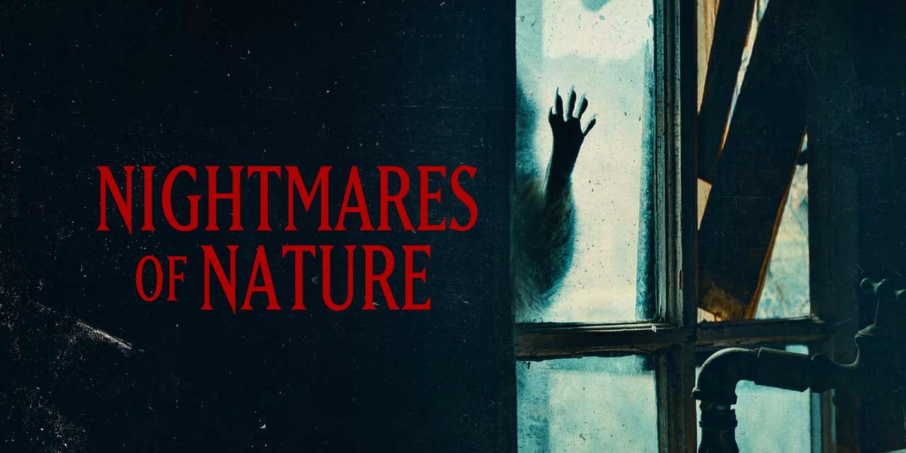 Movie cover image