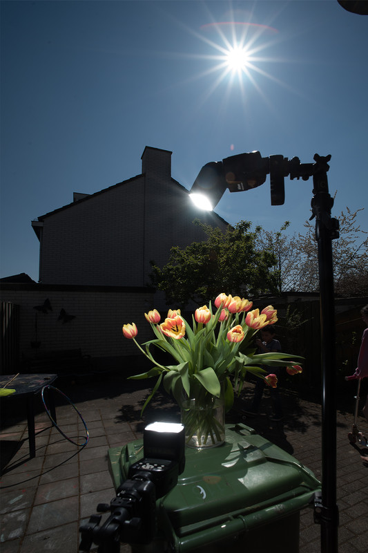 Fotografie