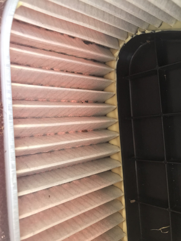 45137730-041B-4810-BFE2-29DC41D0F7A5