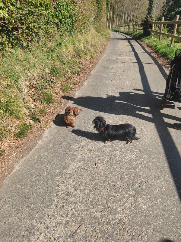 [Image: IMG-20250407-163626.jpg]