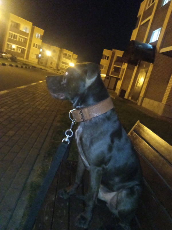 26F9A891-9B5F-40E0-B6DD-85581E470FD6