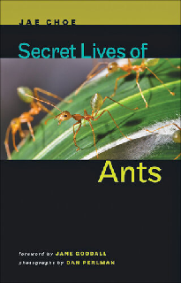 Secret Lives of Ants [EPUB]