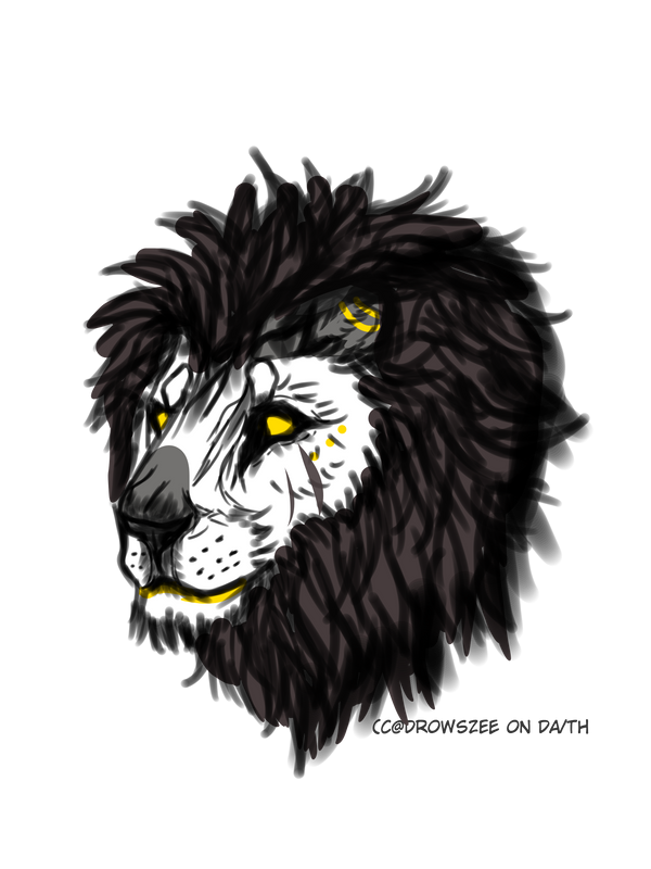 Midas-Headshot1.png