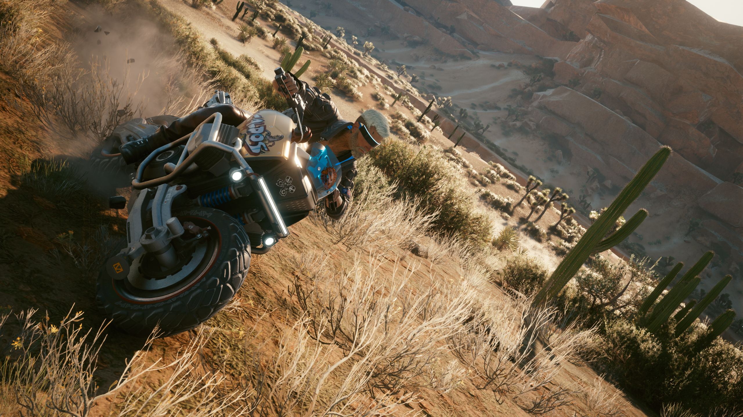 photomode-07012021-201643.png