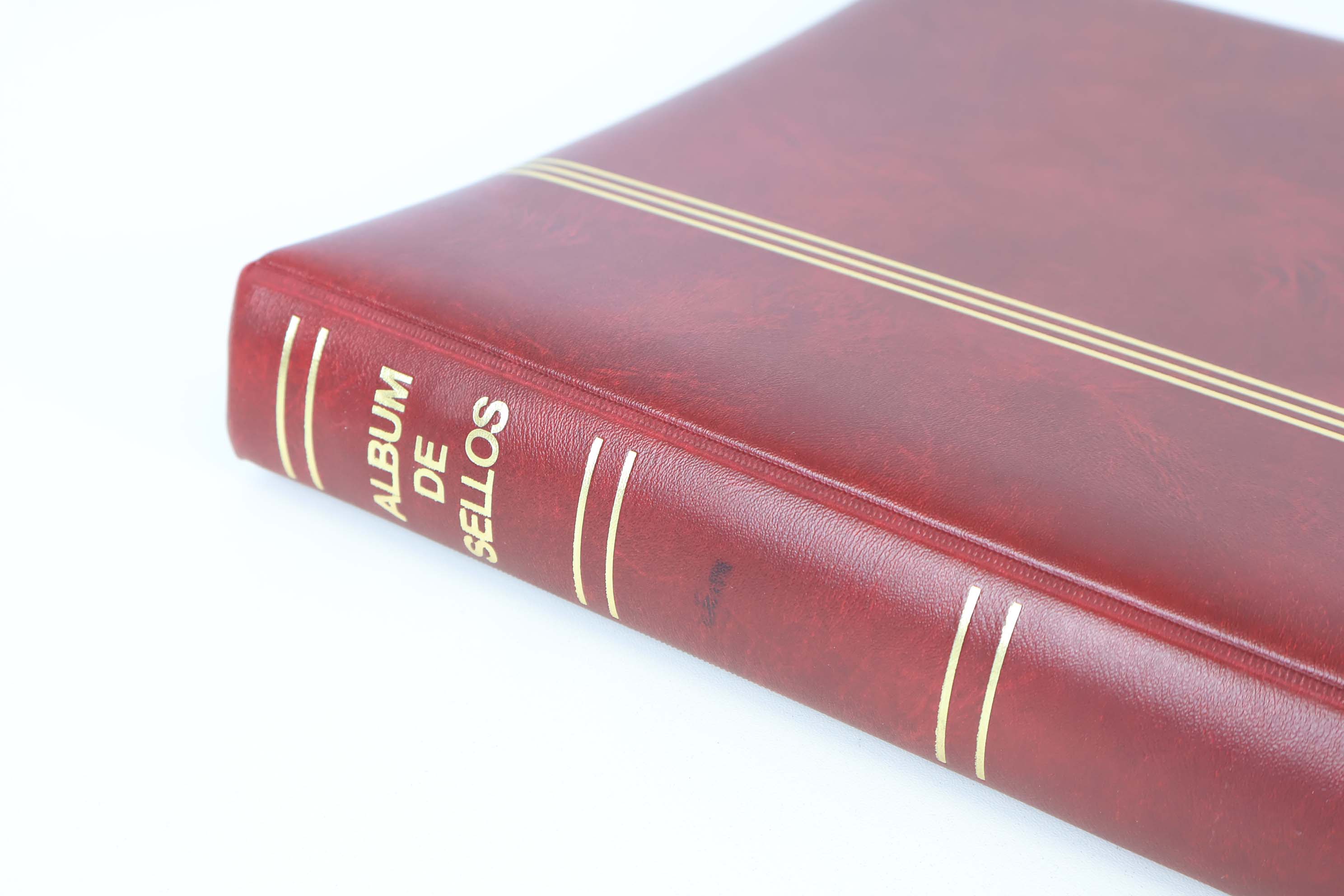IMG-4388