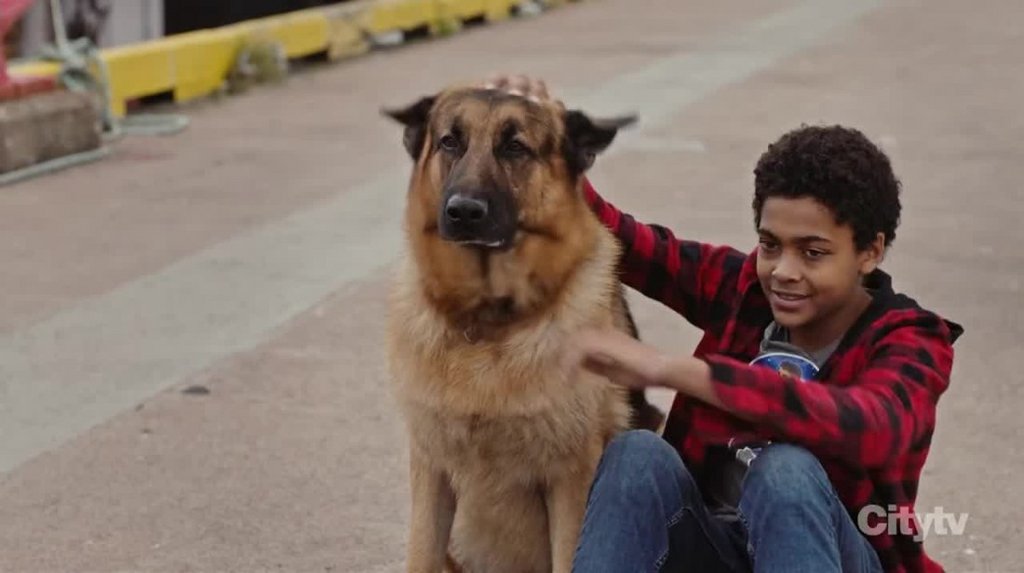 [Image: 7aru3nb48cwj.jpg]