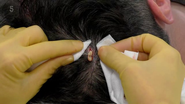 [Image: 207fenuy5sam.png]