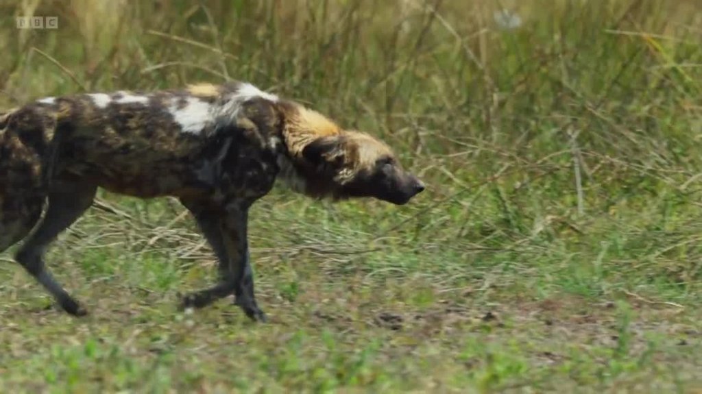 [Image: ro1in04or1sa.jpg]